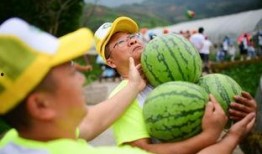 吃瓜楼2.0,揭秘娱乐圈幕后风云，带你走进明星真实生活