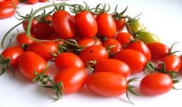 fx晨雾吃瓜,揭秘娱乐圈吃瓜背后的真相