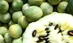 吃瓜仔有什么好处,揭秘日常生活中的小确幸