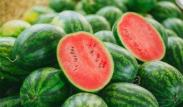 小孩吃茄瓜视频,趣味横生美食瞬间