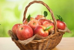 小森苹果吃瓜,趣味横生的夏日时光