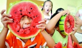 吃瓜80分钟,80分钟深度解析娱乐圈风云