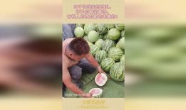 五千到六千吃瓜,揭秘5000-6000元价格区间的顶级瓜品