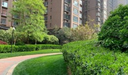 郑州银基王朝 吃瓜,揭秘网红打卡地的幕后“吃瓜”故事