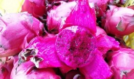 吃瓜火龙果,揭秘吃瓜火龙果的独特魅力