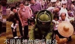 不明吃瓜群众出处