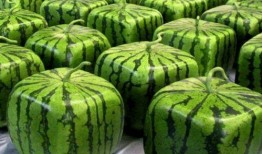 火爆全网吃瓜,火爆吃瓜事件，揭秘背后真相