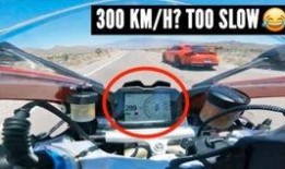 车队排队吃瓜,一场别开生面的美食盛宴