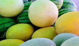 好瓜怎么吃视频,跟随视频解锁美味瓜果新境界