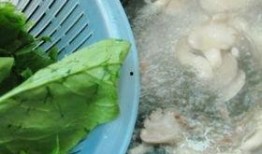 吊瓜猪肝可以吃吗,美味与营养并存，食用指南揭秘