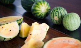 浙农林吃瓜事件,校园风波背后的真相与反思