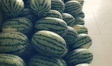 吃瓜建立的友谊,从吃瓜到深厚的友谊