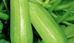 401吃瓜,揭秘娱乐圈最新热点事件