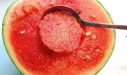 大圆勺子吃瓜图片大全,趣味横生的美食奇观