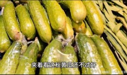 唐山市吃瓜,瓜果飘香，品味生活新风尚