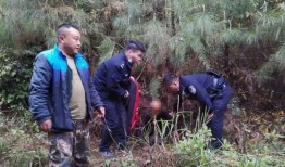 三旬老汉爬树吃瓜,岁月静好，闲情逸致的生活剪影