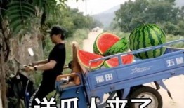 带你吃瓜狂飙版