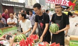 吃瓜群众北京朝阳,吃瓜群众眼中的繁华都市缩影