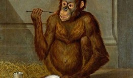 早期猿猴吃瓜,瓜果的进化之旅