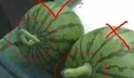 河北吃瓜小妹,揭秘当地美食文化趣闻